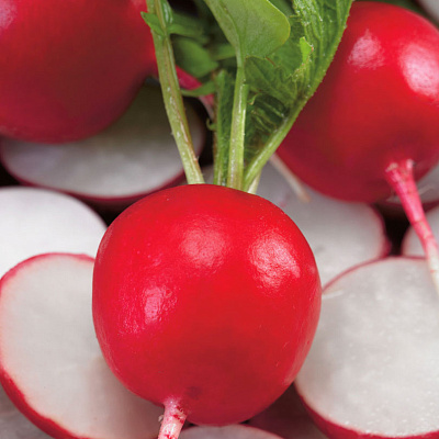 Редис Мидуэй F1 1гр