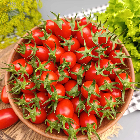 Фото Помидор черри Уникум F1