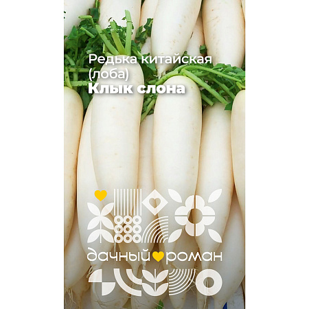 Фото Семена Редька китайская (лоба) Клык слона, 1 гр. Дачный роман