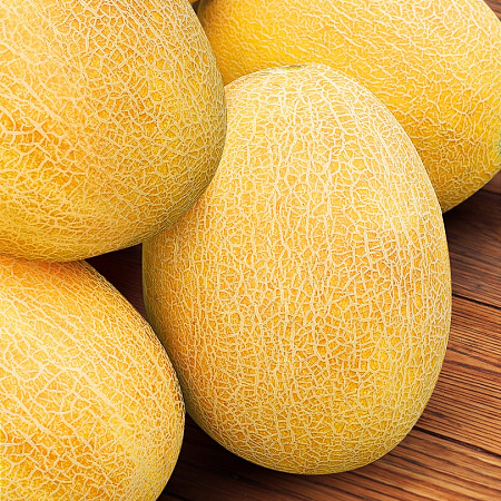 Фото Дыня Саммит F1