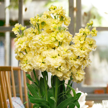 Фото Левкой Маммут Божественный жёлтый 0,1гр