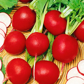 Редис Стелар F1