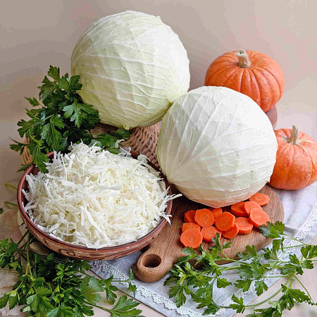 Фото Капуста белокочанная Снегурочка F1