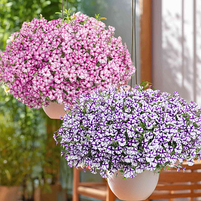 Набор супертуний №3