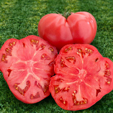 Фото Помидор Могучан Степанова