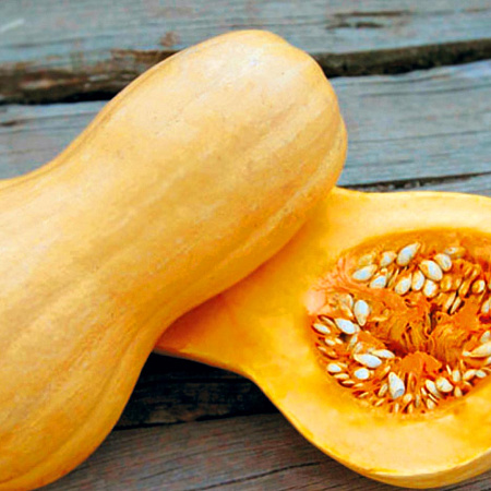 Фото Тыква Матильда F1