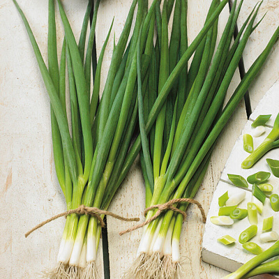 Лук на зелень Кайгаро 0,8гр