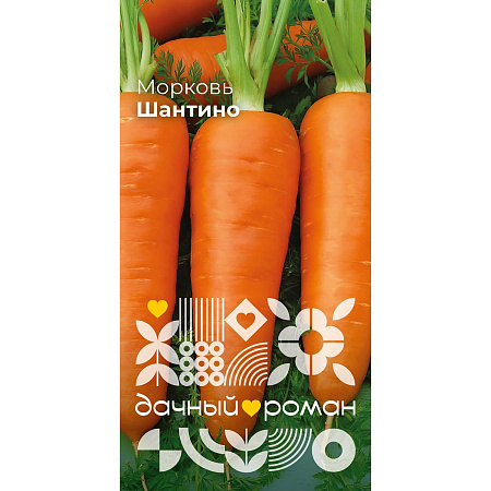 Фото Семена Морковь Шантино, 2гр. "Дачный роман"