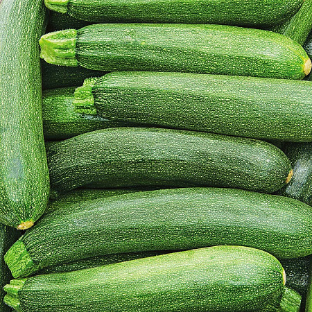 Фото Кабачок Беркут