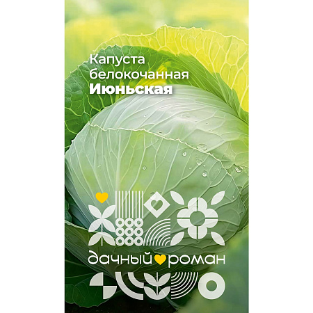 Фото Семена Капуста белокочанная Июньская, 0,3 гр. Дачный роман