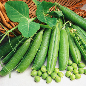 Горох Самый ранний F1