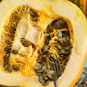 Тыква голосеменная Юнона