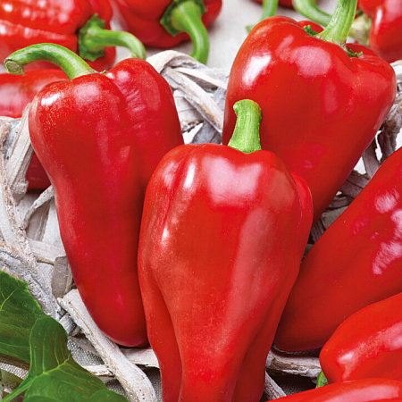 Фото Перец сладкий Пламенный