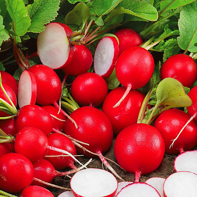 Редис Молния F1