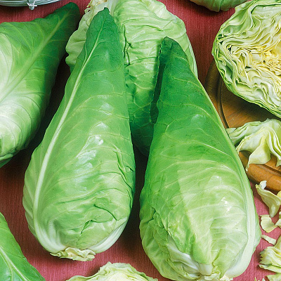 Капуста белокочанная Сонсма F1 16шт