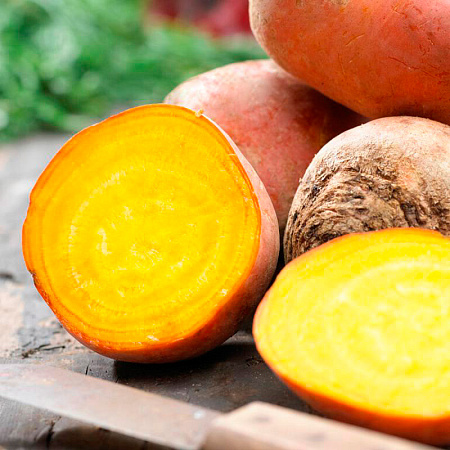 Фото Свёкла Болдор