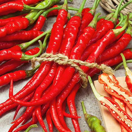 Фото Перец острый Рокита