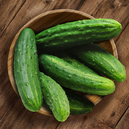 Фото Огурец Молодечик