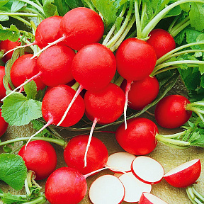 Редис Алый парус F1