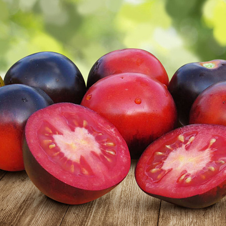 Фото Помидор Земба