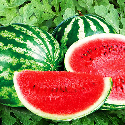 Арбуз Астраханский