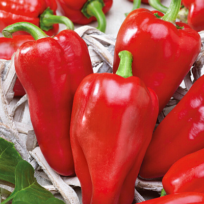 Перец сладкий Пламенный