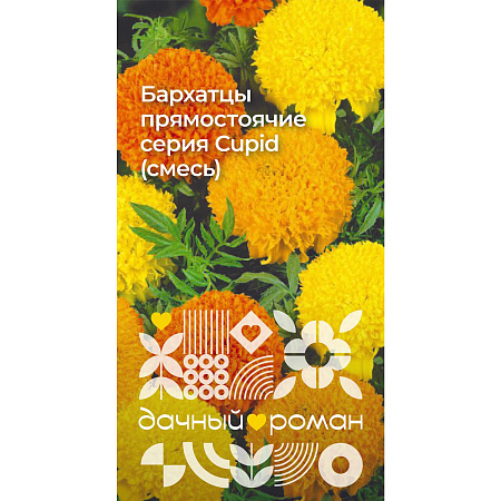 Фото Семена Бархатцы прямостоячие серия Cupid (смесь), 0,3 гр. Дачный роман