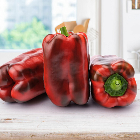 Фото Перец сладкий Помпео F1