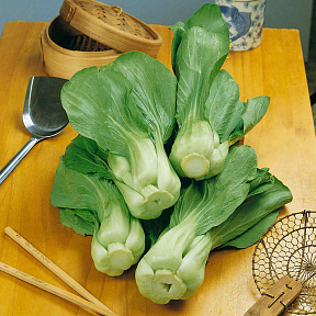 Капуста китайская Пак Чой F1