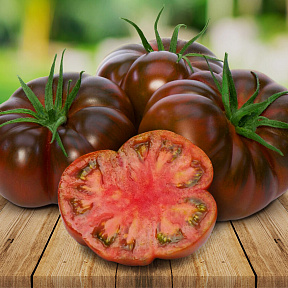 Помидор Браун Кой F1