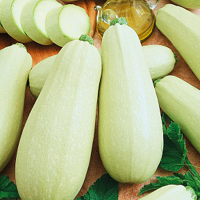 Кабачок Амулет F1