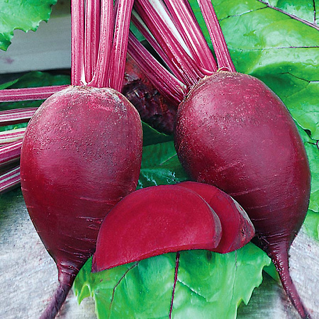 Фото Свёкла Монти F1 1гр